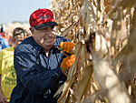 Cornpicking contest